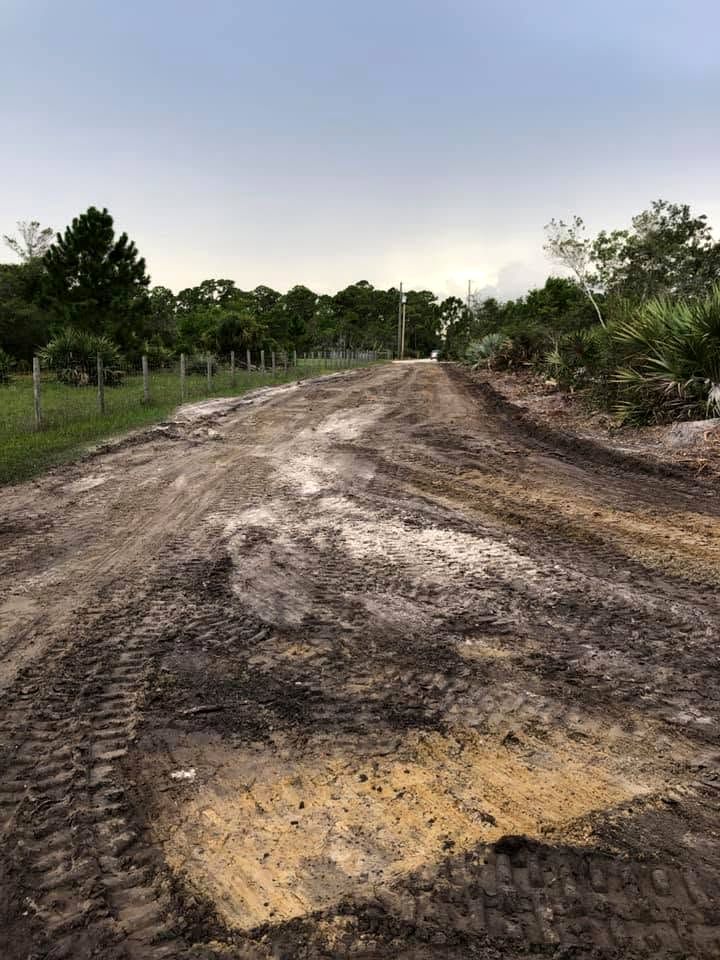 Freshly graded path between a fence line and saw palmetto on a Harrack job
